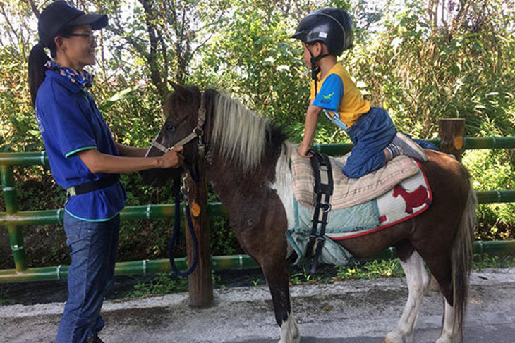 一起夢想－馬背上的慢飛天使