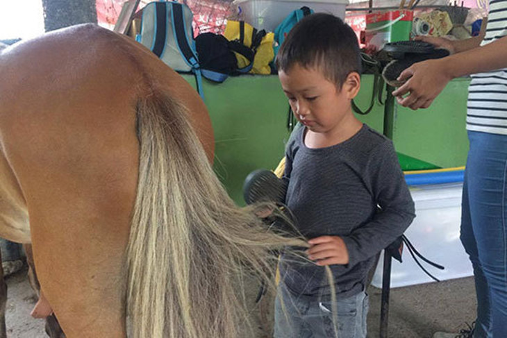 一起夢想－馬背上的慢飛天使