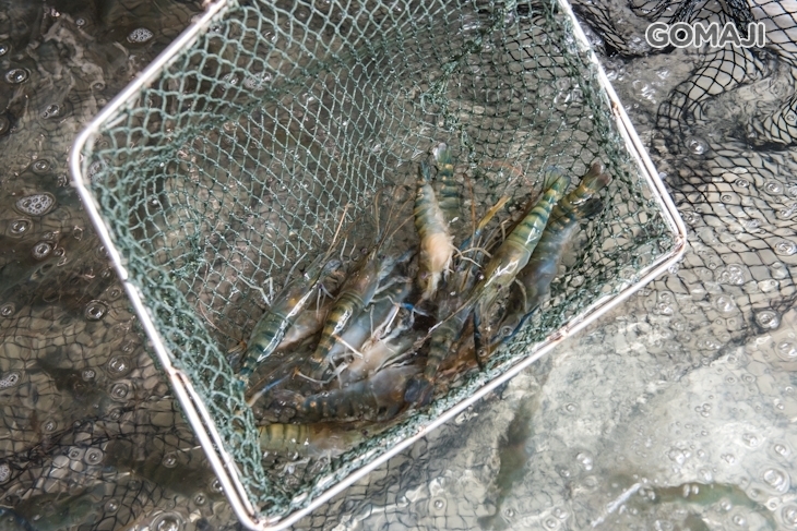 西海岸活蝦之家(仁德虎山店)