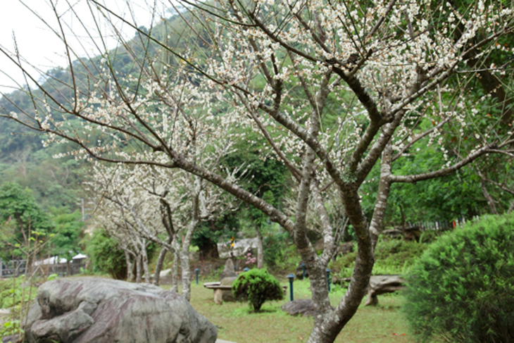 新竹尖石錦屏美人湯館