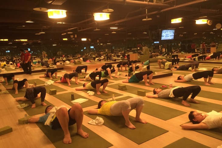 ROYAL YOGA