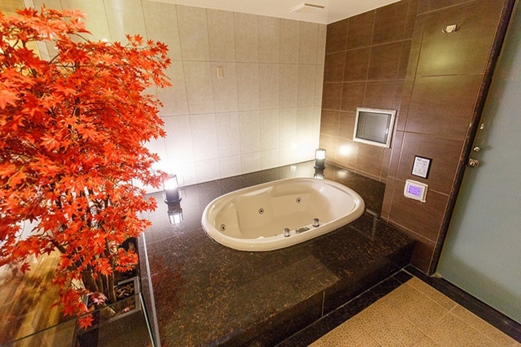 台北中和-SLV旅館集團(SLV館)