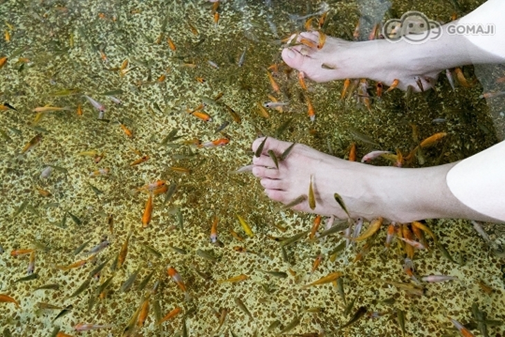 礁溪-原湯旅店