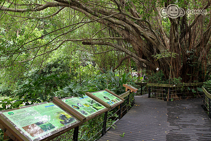 台北-芝山文化生態綠園
