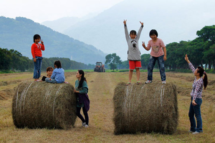台東-台糖池上牧野渡假村