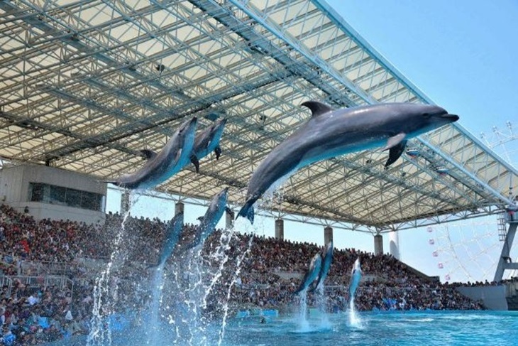 名古屋港水族館門票