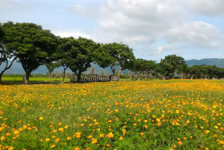 花蓮新光兆豐休閒農場