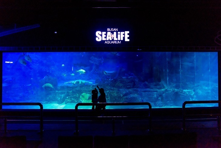 釜山-SEA LIFE水族館