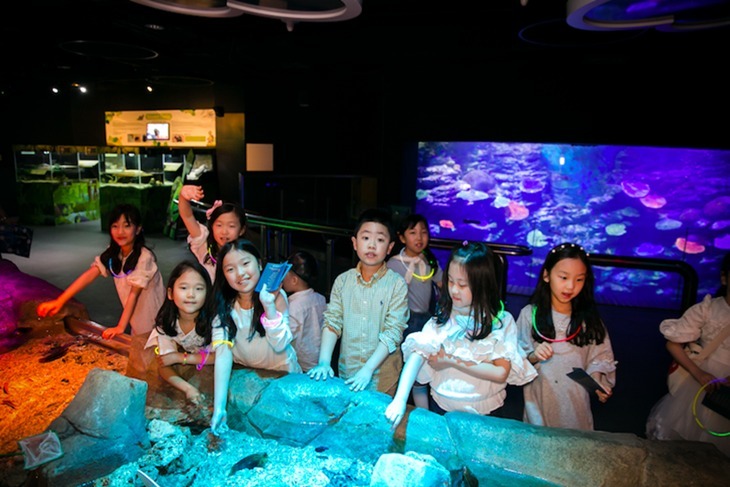 釜山-SEA LIFE水族館