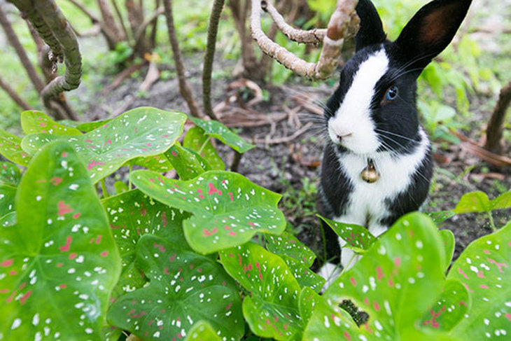 花蓮亞士都飯店