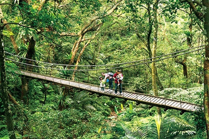 大板根森林溫泉酒店