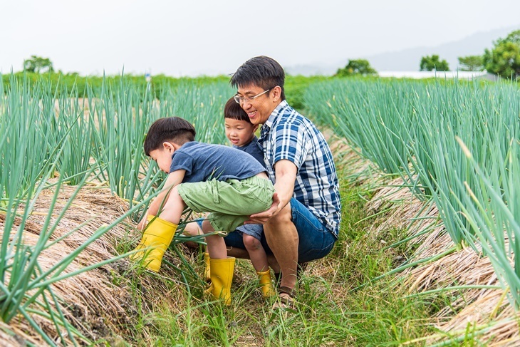 【夠麻吉X農遊超市】星寶蔥體驗農場