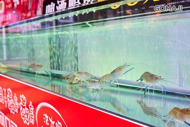 蝦泰泰 流水蝦第一品牌