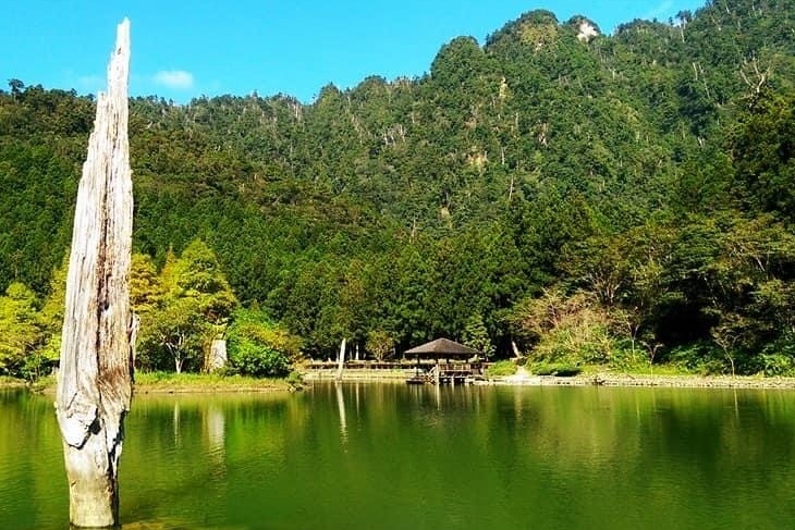 明池森林遊樂區、清水地熱一日遊