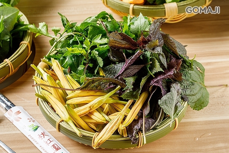 秋紅園野菜鍋物