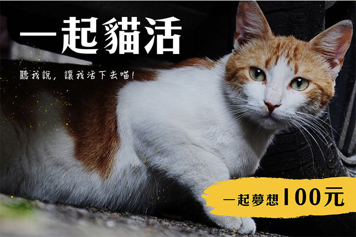 一起夢想－一起貓活