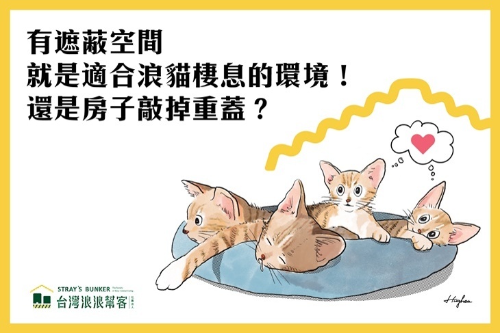 一起夢想－一起貓活