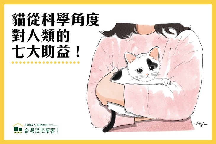 一起夢想－一起貓活