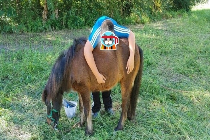 花蓮高關懷兒少馬匹輔助療育計畫