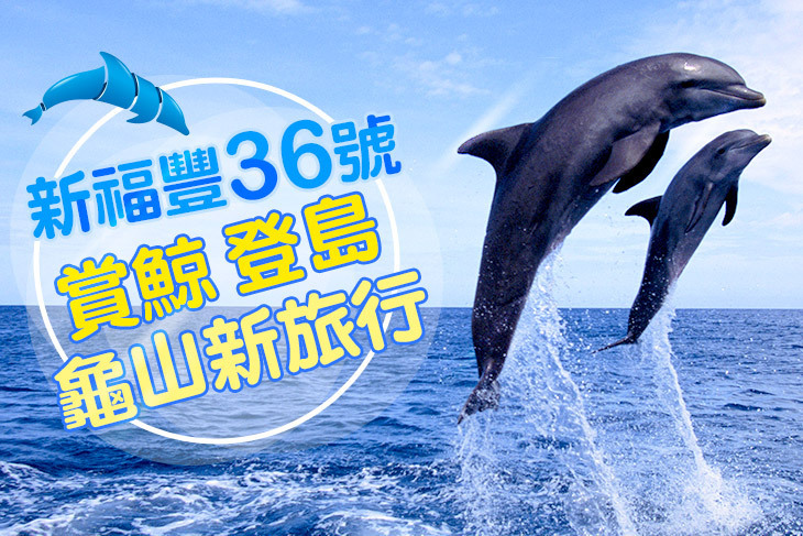 宜蘭-新福豐36號賞鯨旅遊