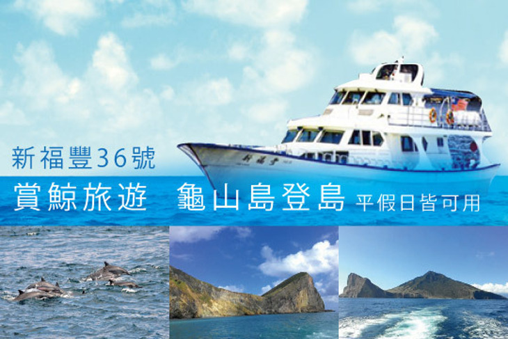 宜蘭-新福豐36號賞鯨旅遊