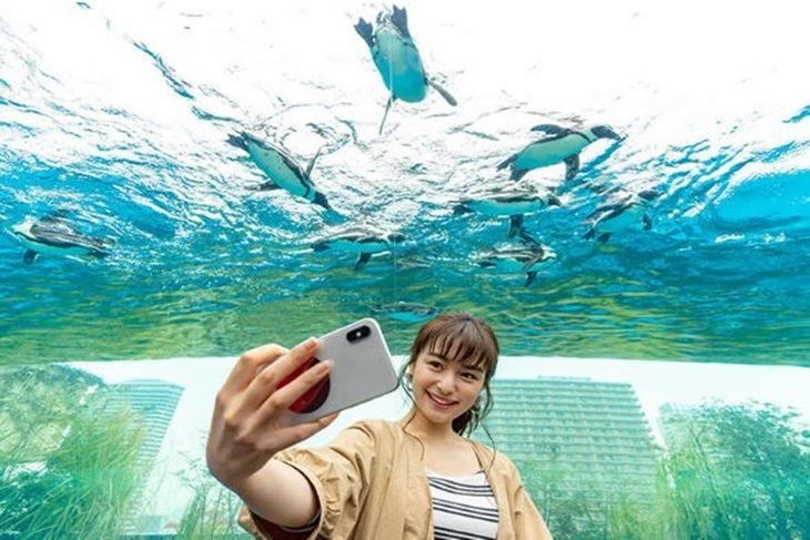 東京池袋太陽城《陽光水族館SunShine Aquarium》門票