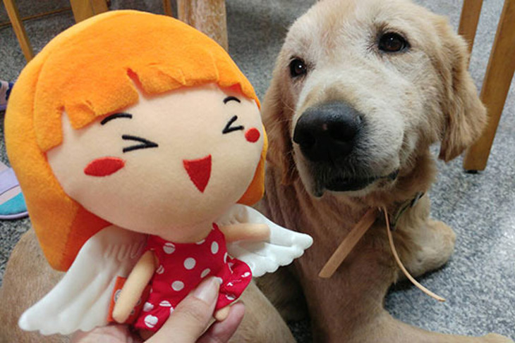 一起夢想-後山犬貓愛心溫飽專案