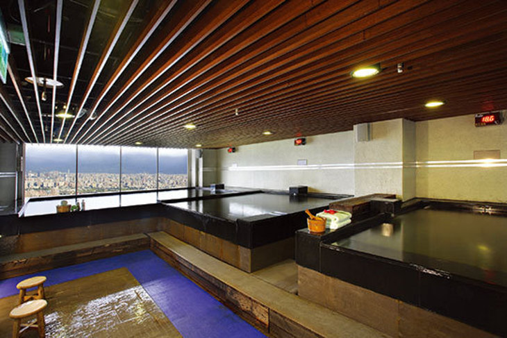 台中-清新溫泉飯店