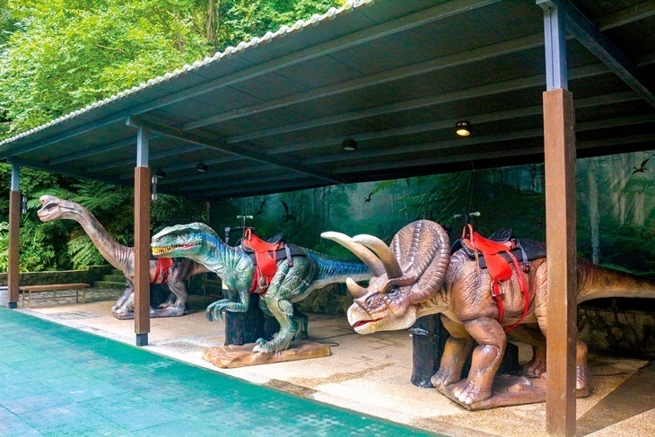 大板根森林溫泉酒店