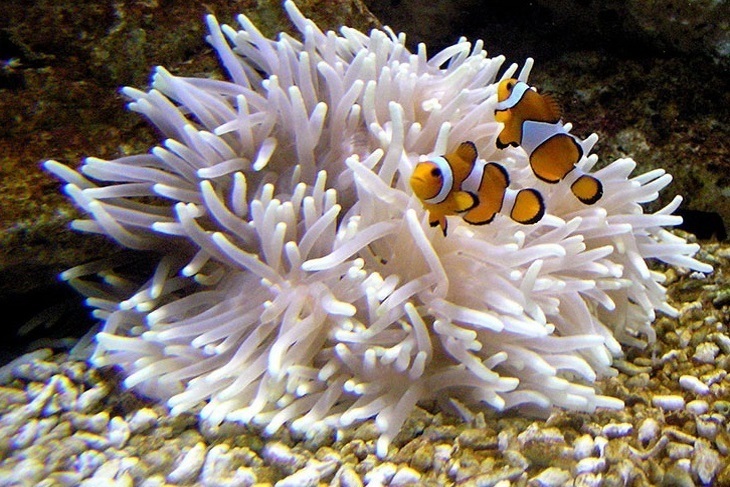 萬里-野柳海洋世界