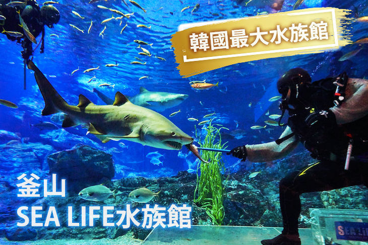釜山-SEA LIFE水族館