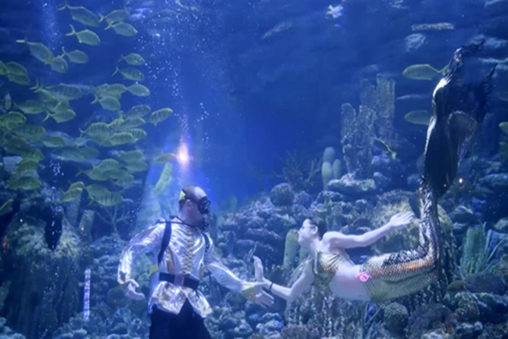 釜山-SEA LIFE水族館