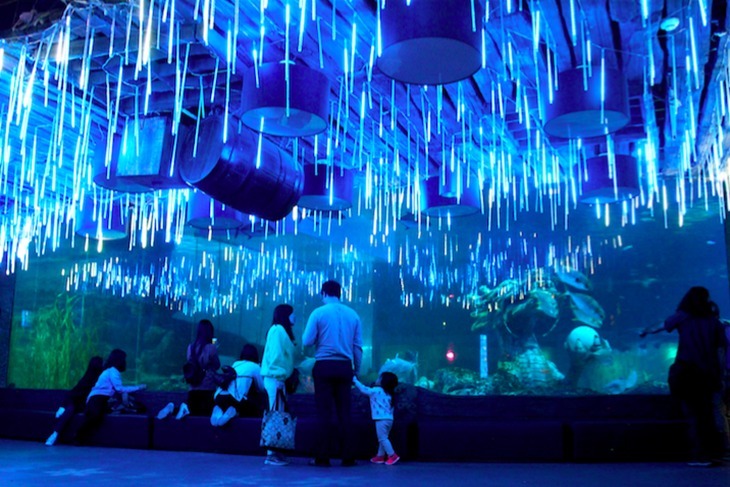 釜山-SEA LIFE水族館