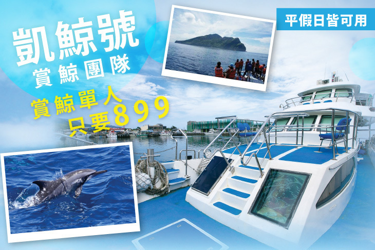 宜蘭-凱鯨號賞鯨團隊