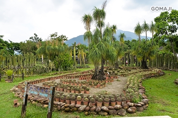 屏東三地門-大路觀主題樂園