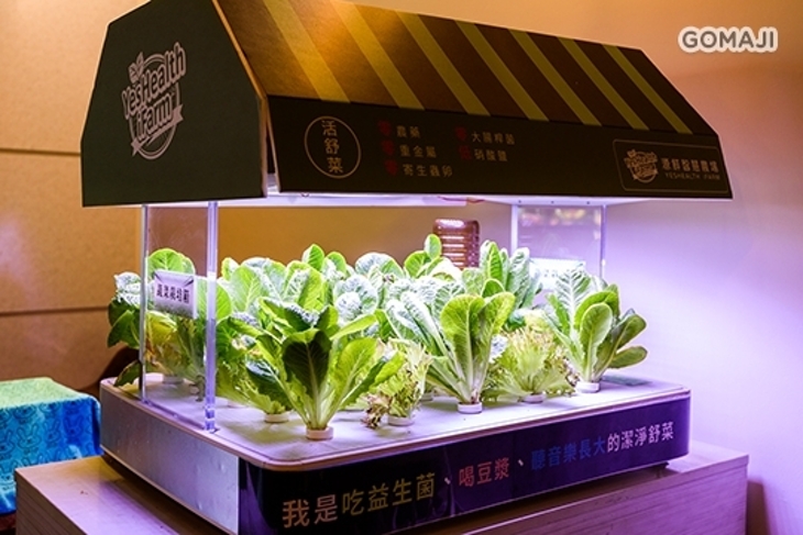 囍涮涮 職人蔬菜 C Hot Pot