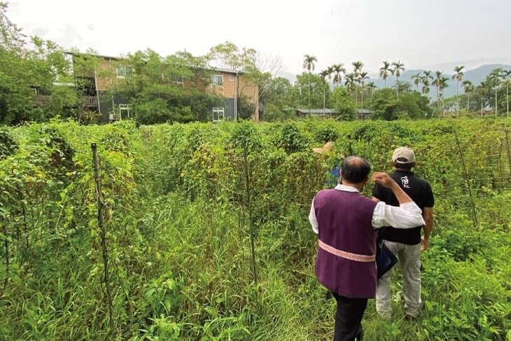 創造返鄉工作機會！讓50位花蓮原民孩子都有父母陪伴！
