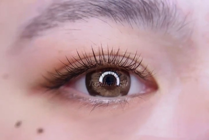 瞳居時代時尚美學 Lash美睫霧眉