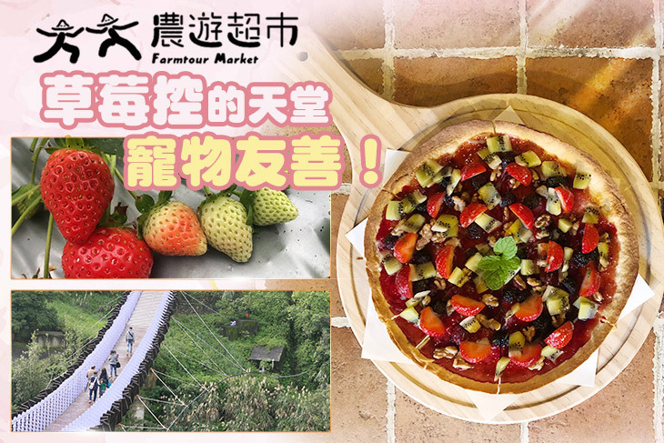 【夠麻吉X農遊超市】台北莓圃休閒農園 【夠麻吉X農遊超市】台北莓圃休閒農園