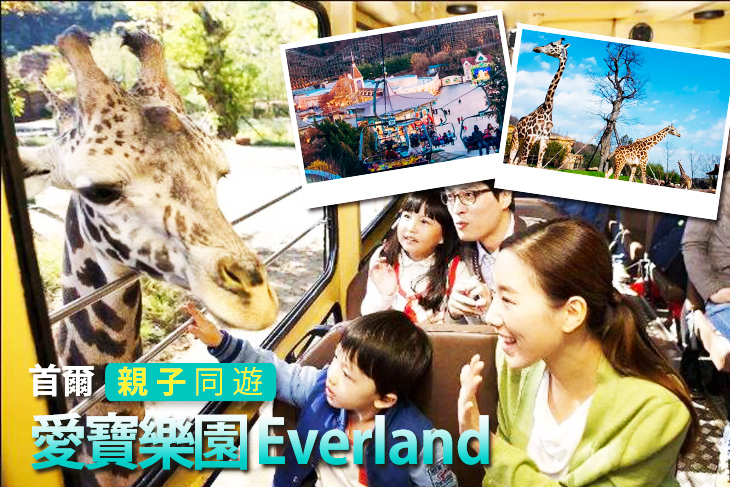 首爾愛寶樂園 Everland 一日門票