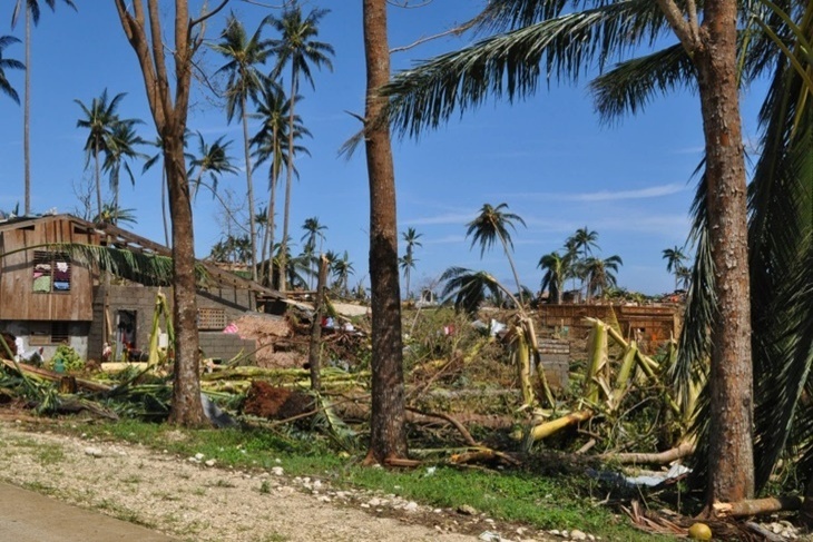 一起夢想－菲律賓災後重建計畫