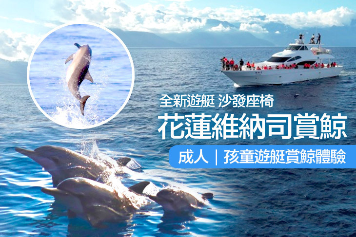 花蓮維納司賞鯨