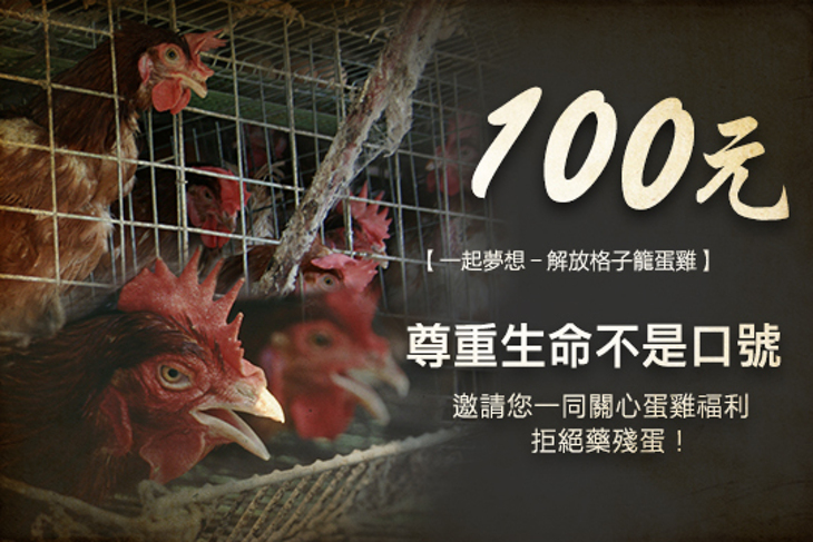 一起夢想－解放格子籠蛋雞