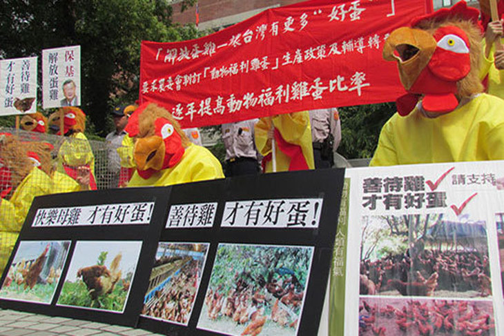 一起夢想－解放格子籠蛋雞