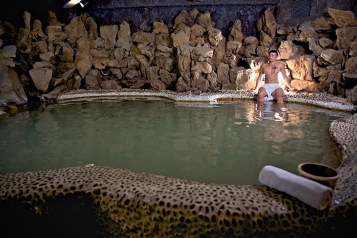 北投-熱海溫泉大飯店