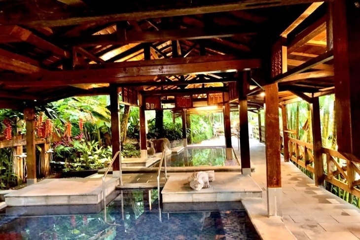 泰安觀止露天風呂溫泉、慢活午食、浪漫落羽松一日遊