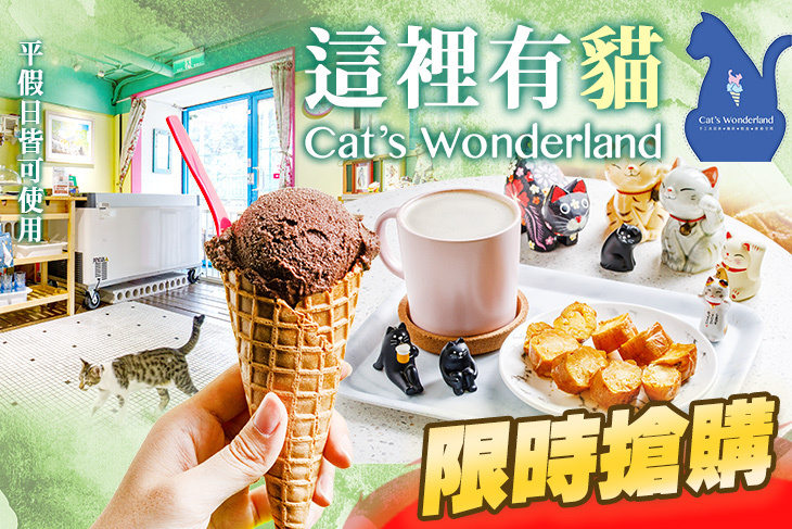 這裡有貓