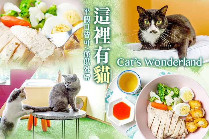 這裡有貓