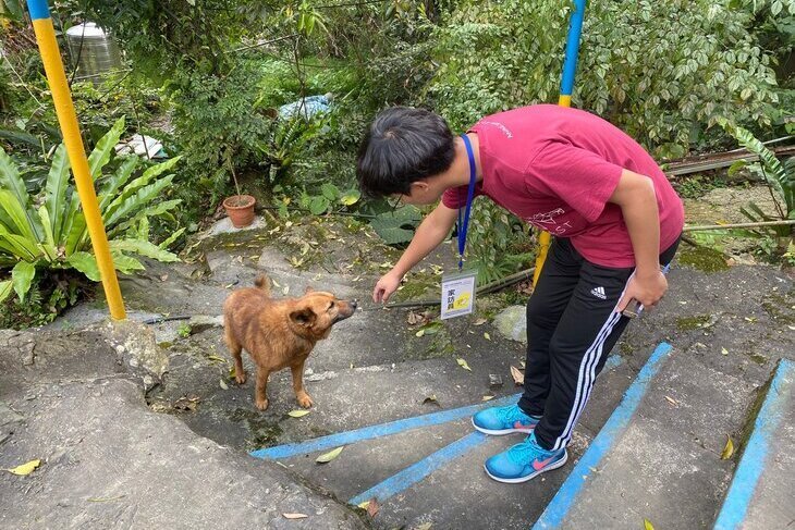 一起夢想－毛孩防疫大作戰