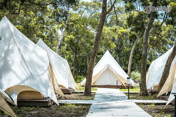 台中-踏親Touching